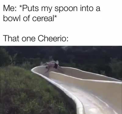 Where does it think it’s going