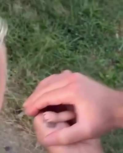 No!