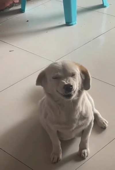 Say Cheese..