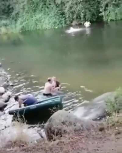 Dolphinatly belongs here.