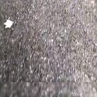 Toad!