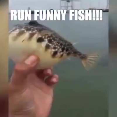 No way (rule)