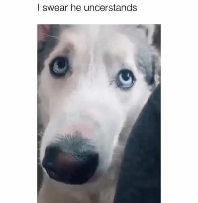Please stay home