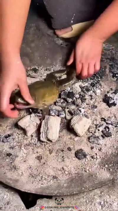 Cooking a nice meal