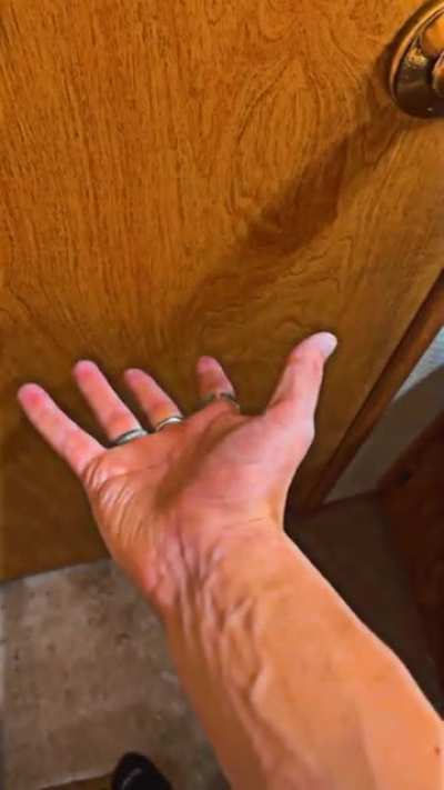 handpics