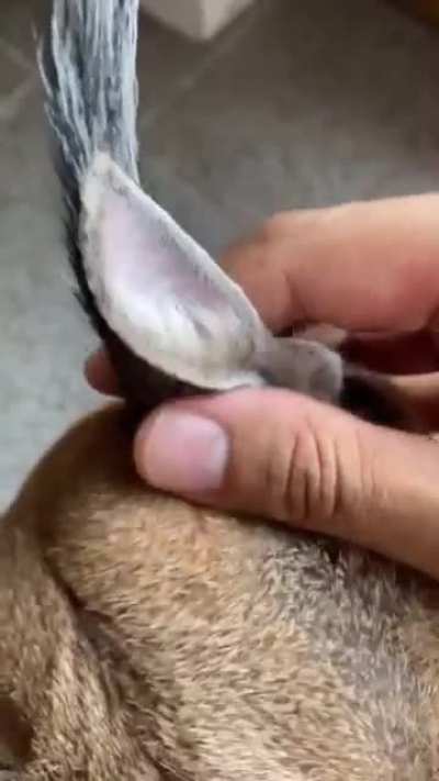 :D