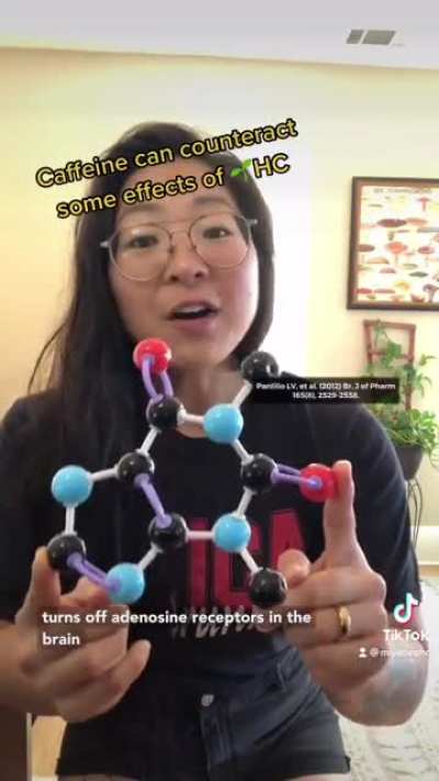 Coffee & Cannabis aka the Seattle/Hippie Speedball - TikTok banned this because the 