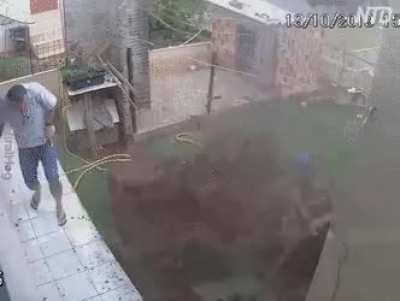 Destroying ants using gasoline works great