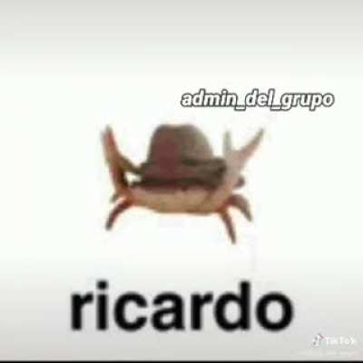 R I C A R D O