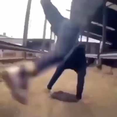 🤸
