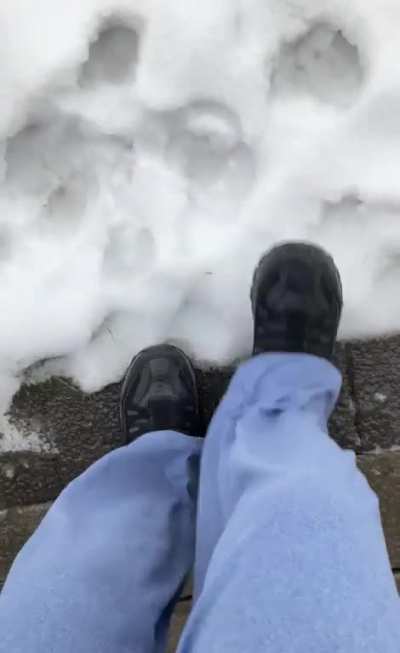 ice
