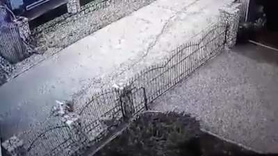 Man running a dog over with a tractor in Bosnia and Herzegovina