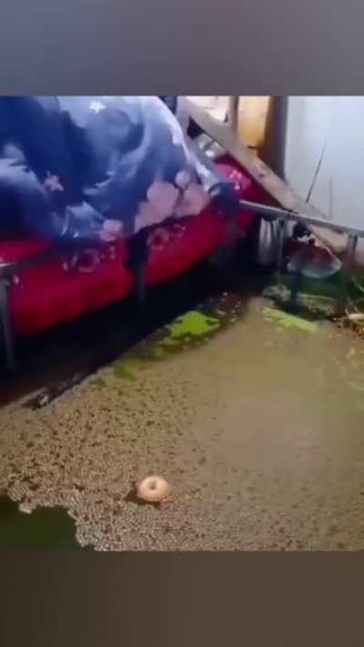 Just normal Russian day