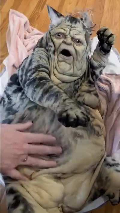 Ummmmmm