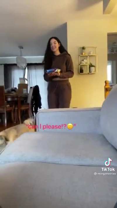 It's probably fake, cute nontheless