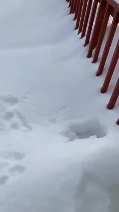 It'll be fine