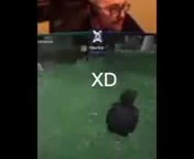 XD