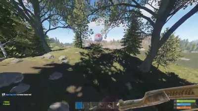 Me and friend encounter new bear AI