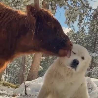 That´s a friendship