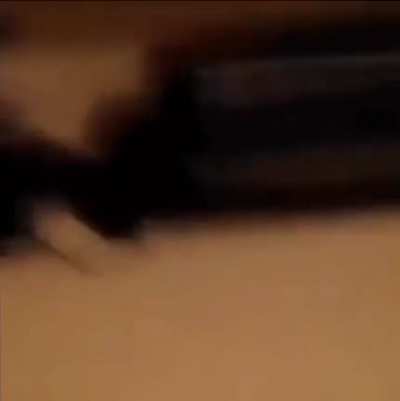 Appasauce