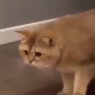 😳😳