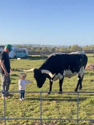 Father of the year award