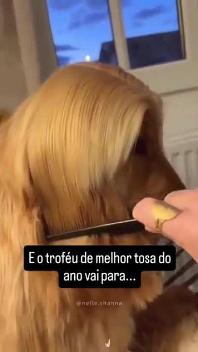 Inesperada Tosa