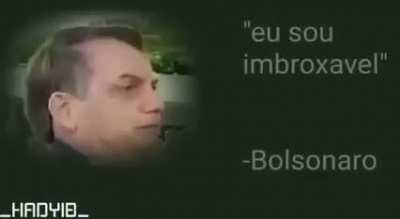 Bolsonaro frases