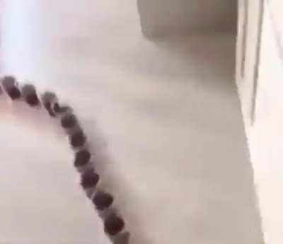 esTÈ video me hizo mal viajar.AYUDAAA