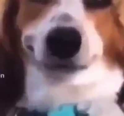 Yes