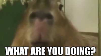 just watching some stuff, why do you ask?