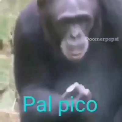 😞😞😞😔😪
