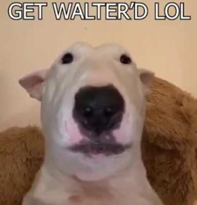 Get Walter'd lol