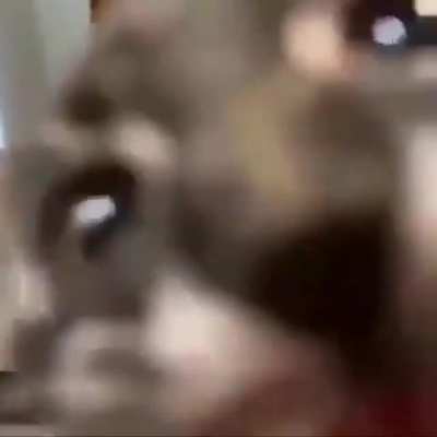 Classic seizure