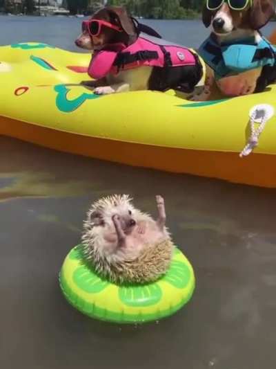 Boat trip