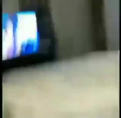 Cool cat video