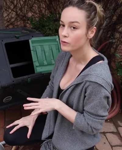 Brie Larson