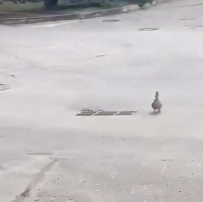 OH sad, But Thank God they were Saved !