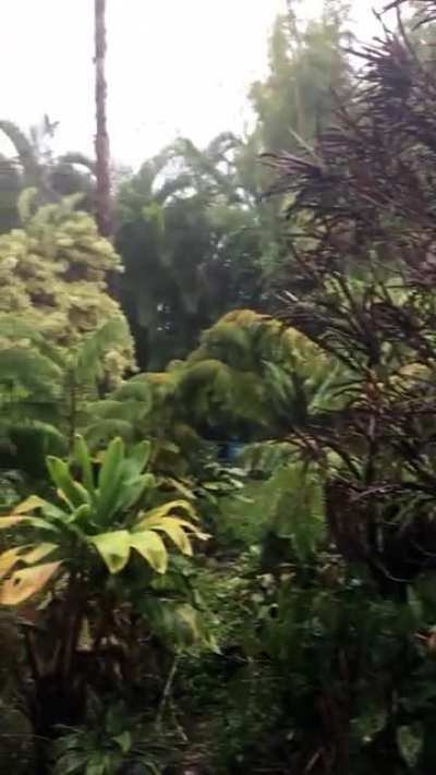 Today in Hawai’i