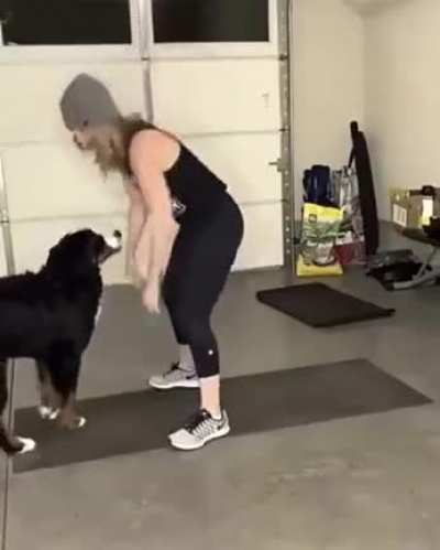 Gym doggo