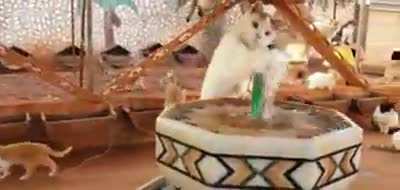 This is wastage of water I have to stop it. Stop stop stop....