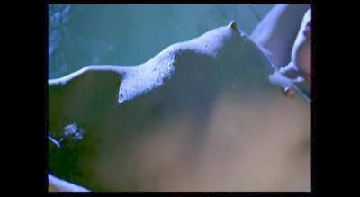 Loredana Cannata in La Donna Lupo (1999) [Confirmed real by Actress]