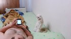 Cat stands up for Russian anthem.