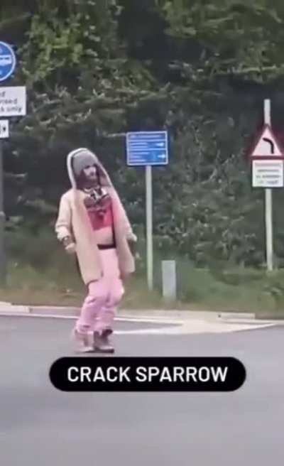Crack Sparrow