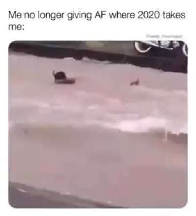 Just go with the flow, friend