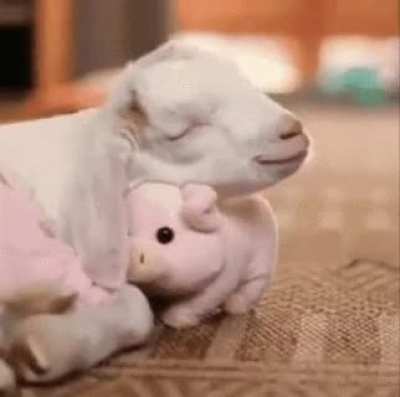 Best Friends Forever!!