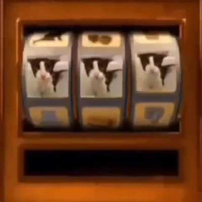Gambling