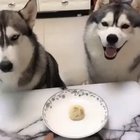 Betrayed...