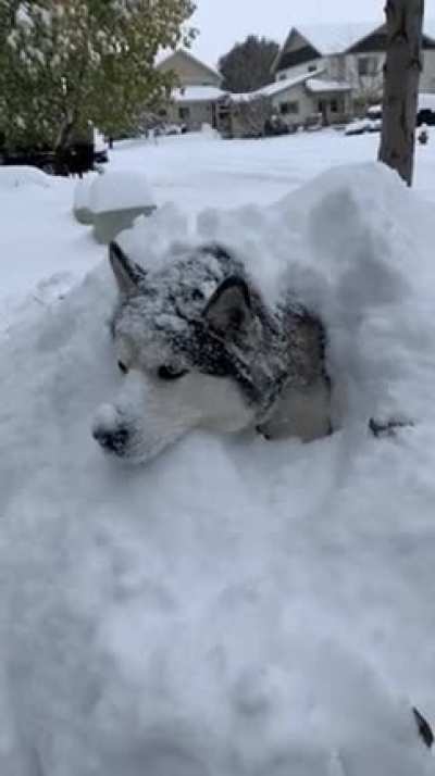 You merely adopted the cold. I was born in it, molded by it.