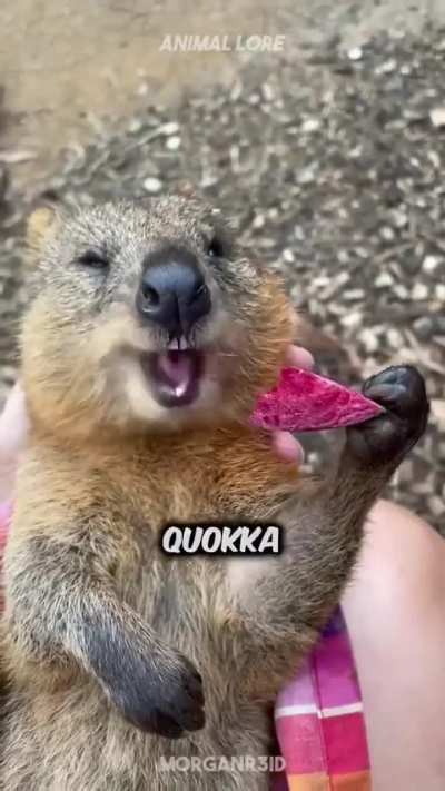 Mother wunker